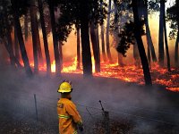 kersbrook-030115 - Craig Tyson.jpg